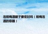 泡杨梅酒罐子要密封吗（杨梅泡酒的容器）