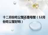 十二月份吃公蟹还是母蟹（12月份吃公蟹好吗）
