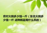 农村大鹅多少钱一斤（东北大鹅多少钱一斤 这种鹅是用什么养的）