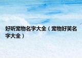 好听宠物名字大全（宠物好笑名字大全）