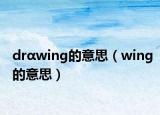 drαwing的意思（wing的意思）