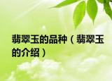 翡翠玉的品种（翡翠玉的介绍）