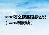 sand怎么读英语怎么说（sand如何读）