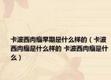 卡波西肉瘤早期是什么样的（卡波西肉瘤是什么样的 卡波西肉瘤是什么）