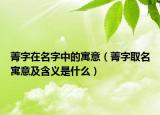 菁字在名字中的寓意（菁字取名寓意及含义是什么）
