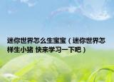 迷你世界怎么生宝宝（迷你世界怎样生小猪 快来学习一下吧）