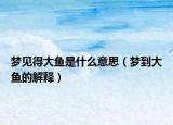 梦见得大鱼是什么意思（梦到大鱼的解释）