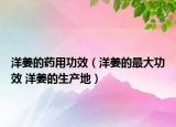 洋姜的药用功效（洋姜的最大功效 洋姜的生产地）