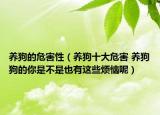 养狗的危害性（养狗十大危害 养狗狗的你是不是也有这些烦恼呢）