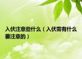 入伏注意些什么（入伏需有什么要注意的）