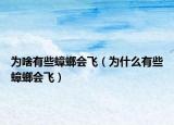 为啥有些蟑螂会飞（为什么有些蟑螂会飞）