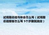 试用期总结与体会怎么写（试用期总结报告怎么写 5个步骤就搞定）