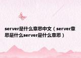server是什么意思中文（server意思是什么server是什么意思）