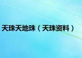 天珠天地珠（天珠资料）