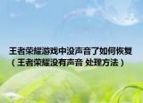 王者荣耀游戏中没声音了如何恢复（王者荣耀没有声音 处理方法）