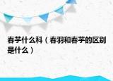 春芋什么科（春羽和春芋的区别是什么）