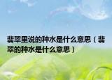 翡翠里说的种水是什么意思（翡翠的种水是什么意思）
