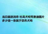 当日最新消息 杜高犬咬死泰迪图片 多少钱一条属于禁养犬吗