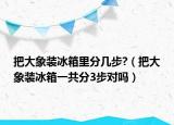 把大象装冰箱里分几步?（把大象装冰箱一共分3步对吗）