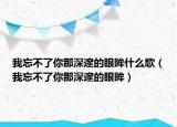 我忘不了你那深邃的眼眸什么歌（我忘不了你那深邃的眼眸）