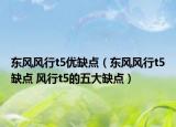 东风风行t5优缺点（东风风行t5缺点 风行t5的五大缺点）