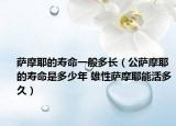萨摩耶的寿命一般多长（公萨摩耶的寿命是多少年 雄性萨摩耶能活多久）