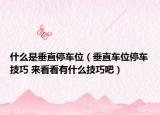 什么是垂直停车位（垂直车位停车技巧 来看看有什么技巧吧）