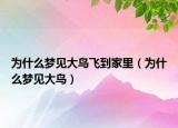 为什么梦见大鸟飞到家里（为什么梦见大鸟）
