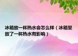 冰箱放一杯热水会怎么样（冰箱里放了一杯热水有影响）