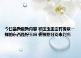 今日最新更新内容 和田玉里面有棉絮一样的东西是好玉吗 要根据分别来判断