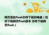 网页里的flash怎样下载到电脑（如何下载网页flash版本 怎样下载网页flash）
