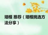 培根 推荐（培根挑选方法分享）