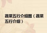 蔬菜五行介绍图（蔬菜五行介绍）