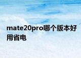 mate20pro哪个版本好用省电