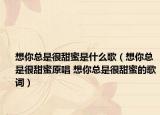 想你总是很甜蜜是什么歌（想你总是很甜蜜原唱 想你总是很甜蜜的歌词）