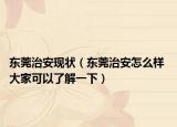 东莞治安现状（东莞治安怎么样 大家可以了解一下）