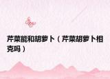 芹菜能和胡萝卜（芹菜胡萝卜相克吗）
