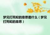 梦见打死蛇的意思是什么（梦见打死蛇的意思）