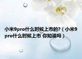 小米9pro什么时候上市的?（小米9pro什么时候上市 你知道吗）