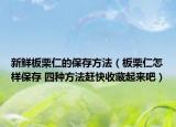 新鲜板栗仁的保存方法（板栗仁怎样保存 四种方法赶快收藏起来吧）