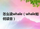 怎么读whale（whale如何读音）