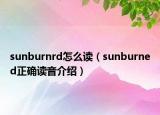 sunburnrd怎么读（sunburned正确读音介绍）