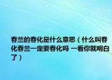 春兰的春化是什么意思（什么叫春化春兰一定要春化吗 一看你就明白了）