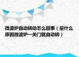 微波炉自动转动怎么回事（是什么原因微波炉一关门就自动转）