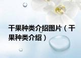 干果种类介绍图片（干果种类介绍）