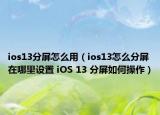 ios13分屏怎么用（ios13怎么分屏在哪里设置 iOS 13 分屏如何操作）