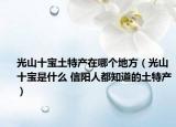 光山十宝土特产在哪个地方（光山十宝是什么 信阳人都知道的土特产）