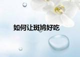 如何让斑鸠好吃
