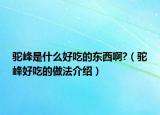 驼峰是什么好吃的东西啊?（驼峰好吃的做法介绍）