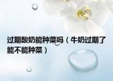 过期酸奶能种菜吗（牛奶过期了能不能种菜）